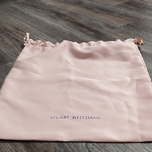 Stuart Weitzman Blush Pink Pouch - Picture 3 of 5
